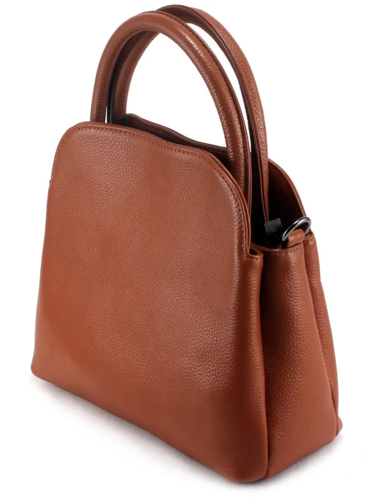 Женская сумка Paul Rayner Gelida brown 1075