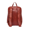Мужской кожаный рюкзак Adams Redwood
